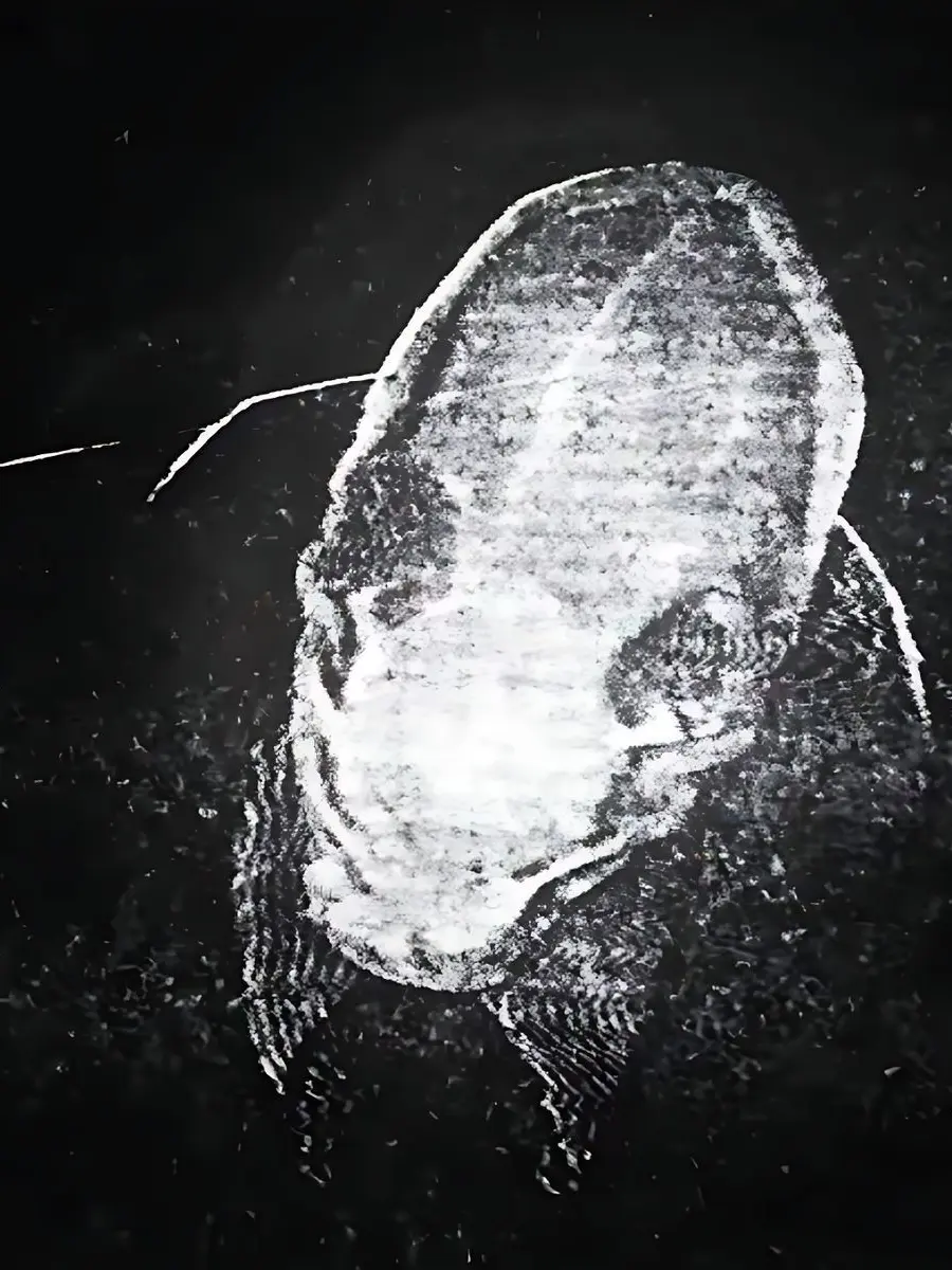 Striped_animal의 Slenderman