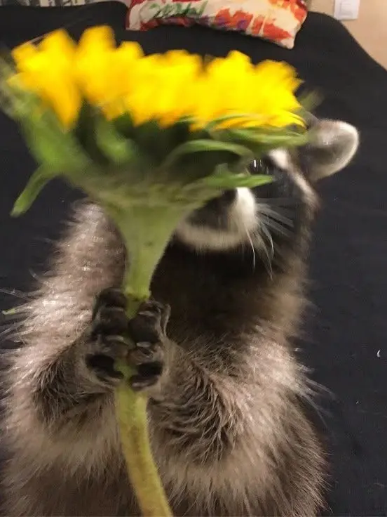 HO_815227의 조원상