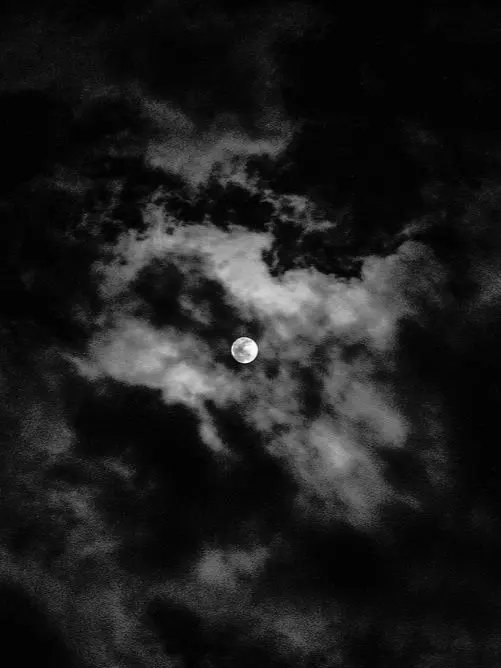 jk7의 🔮 검을 품은 흑구름