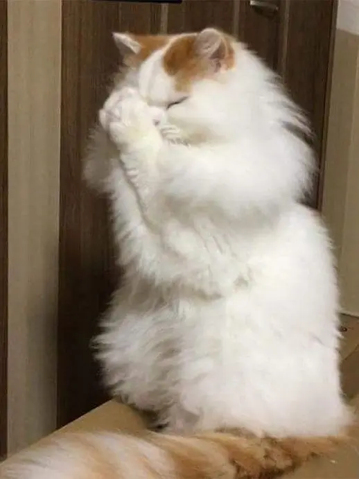 SeverePin7707의 カップルとの同居、そしてソロのドユン