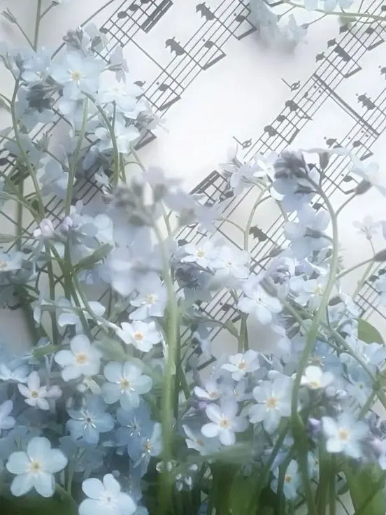 watch_out의 1228🎐