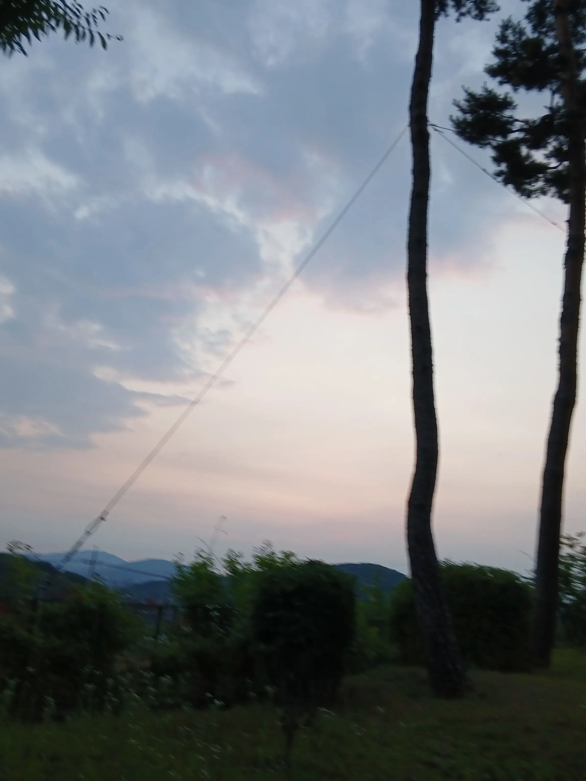 ScenicFan1049의 鬼滅