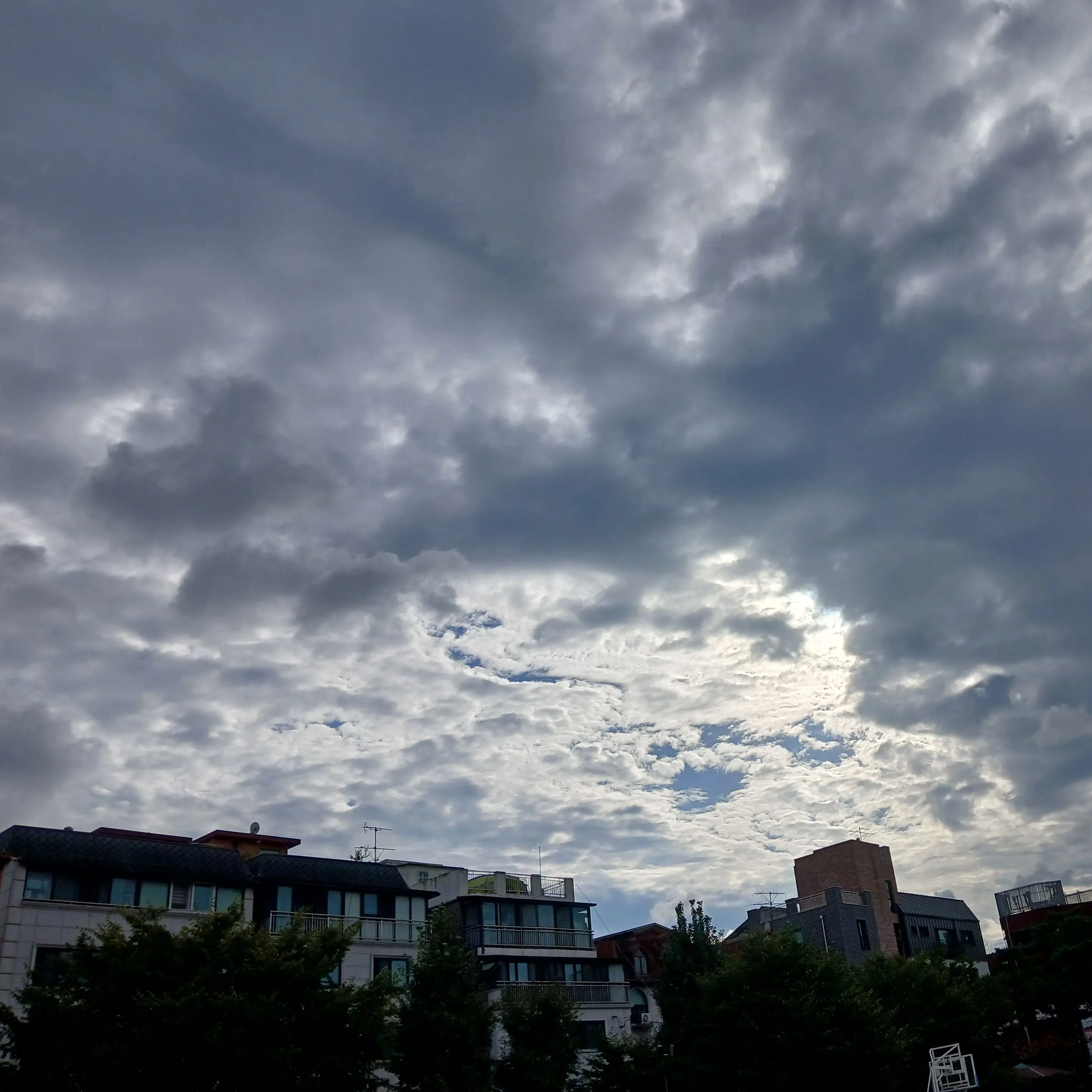 Kimistp의 우리 와이프, 고생이 많다.