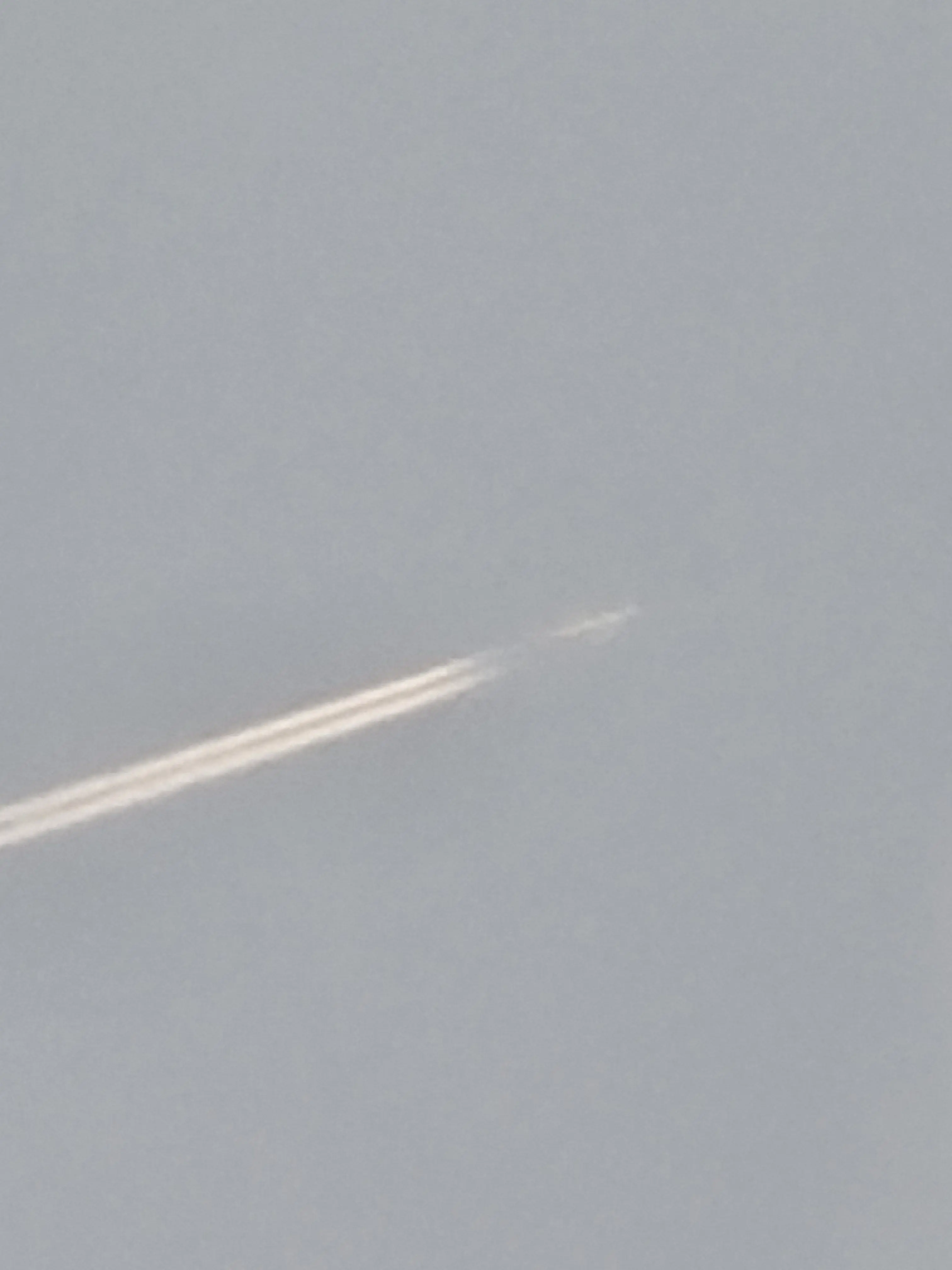 bssh0829_ss의 프로젝트 헤일메리