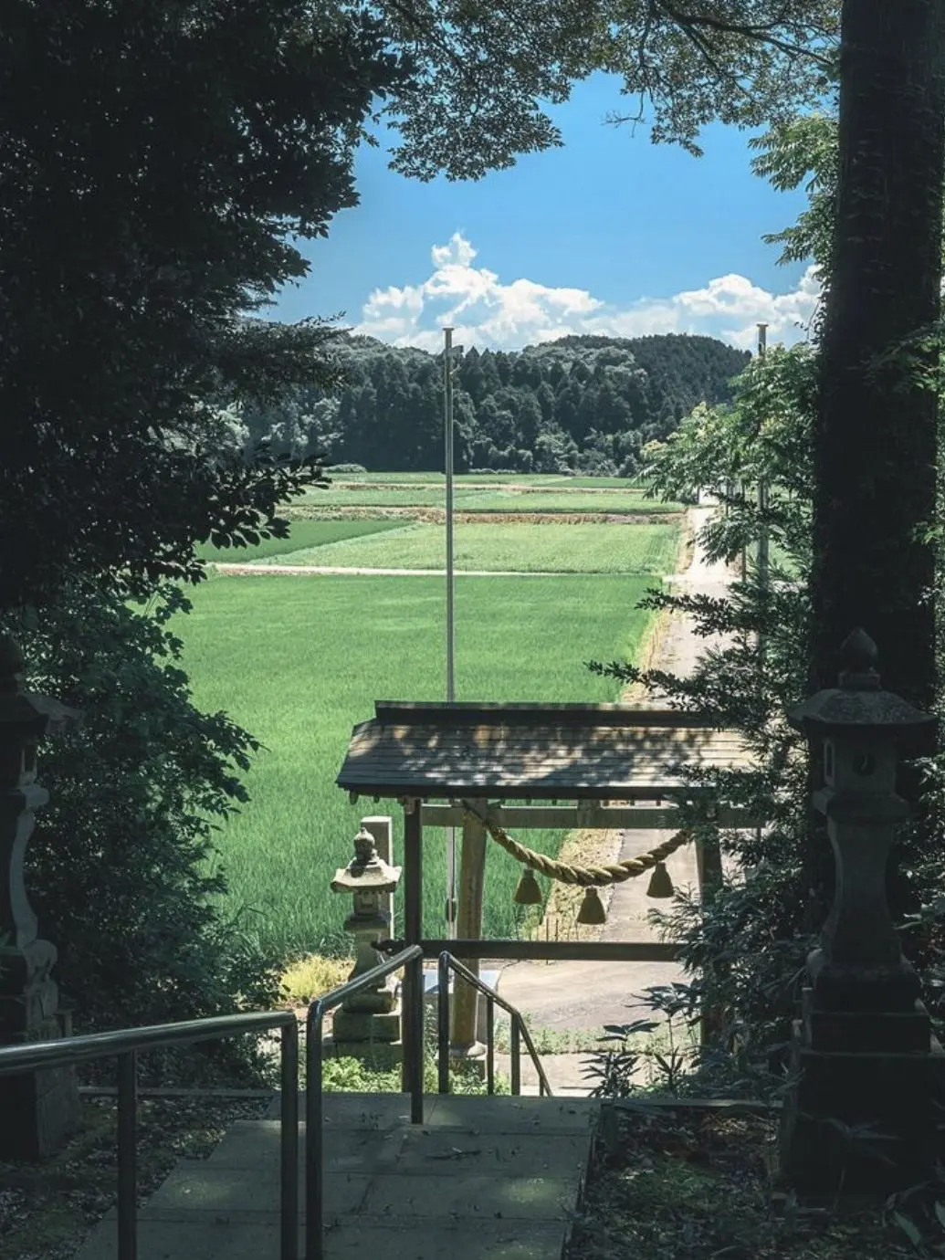 KiraKira1202의 夏。蝉。君の声。