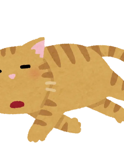 BigRadar3397의 猫