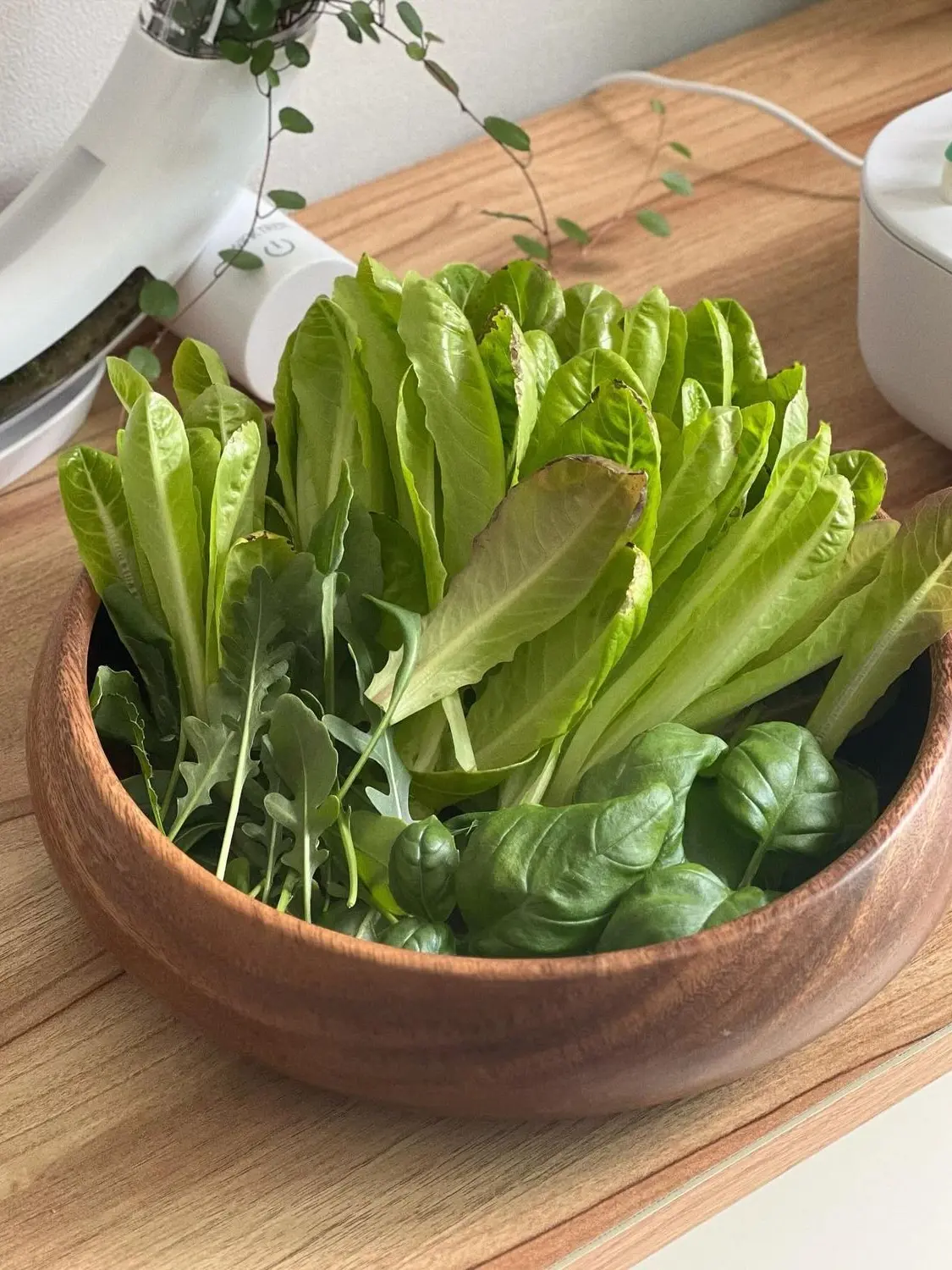 lonelycroissants의 나만 갈궈!