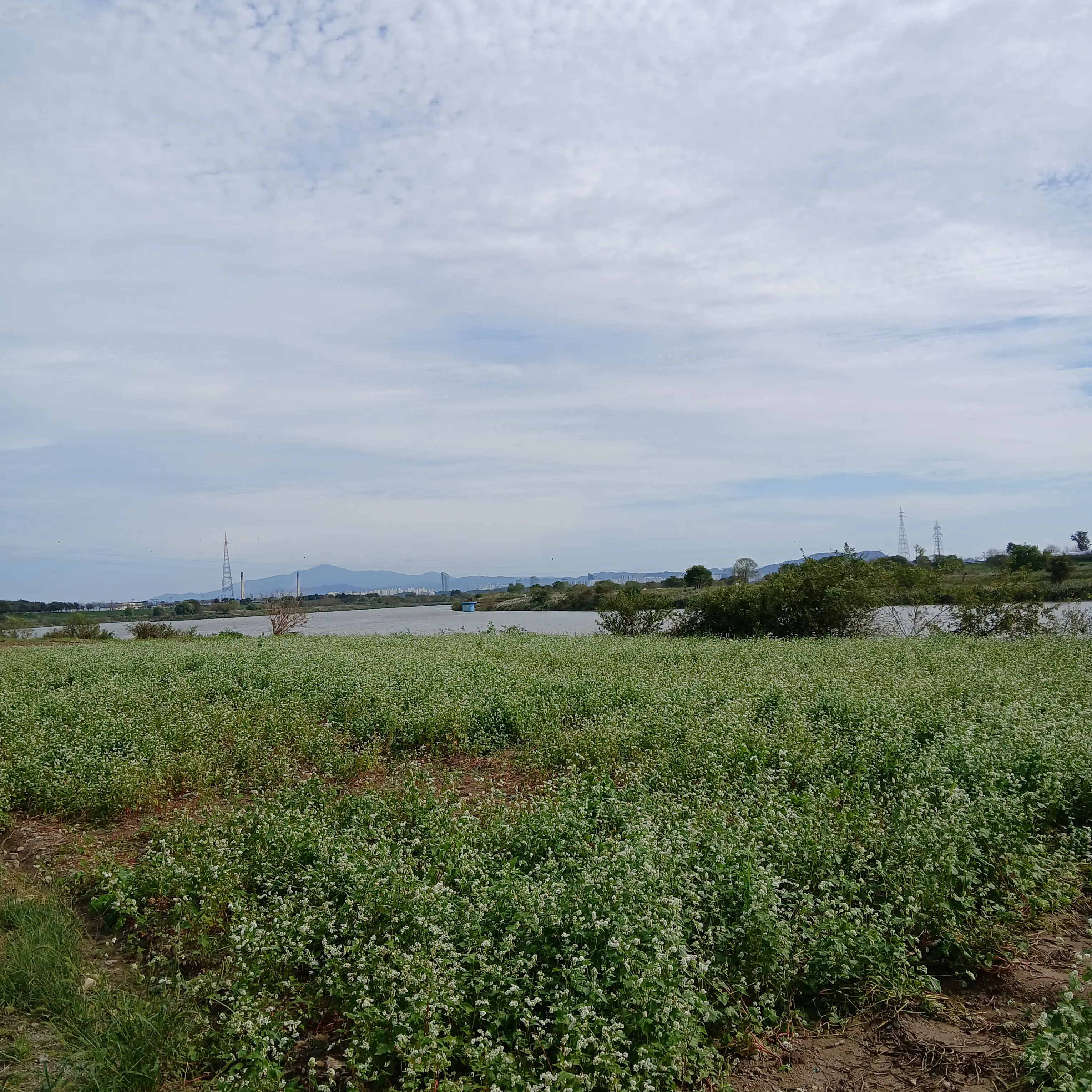 Durtuci의 쿠킹덤 AU라긴보단 내 사심이죠