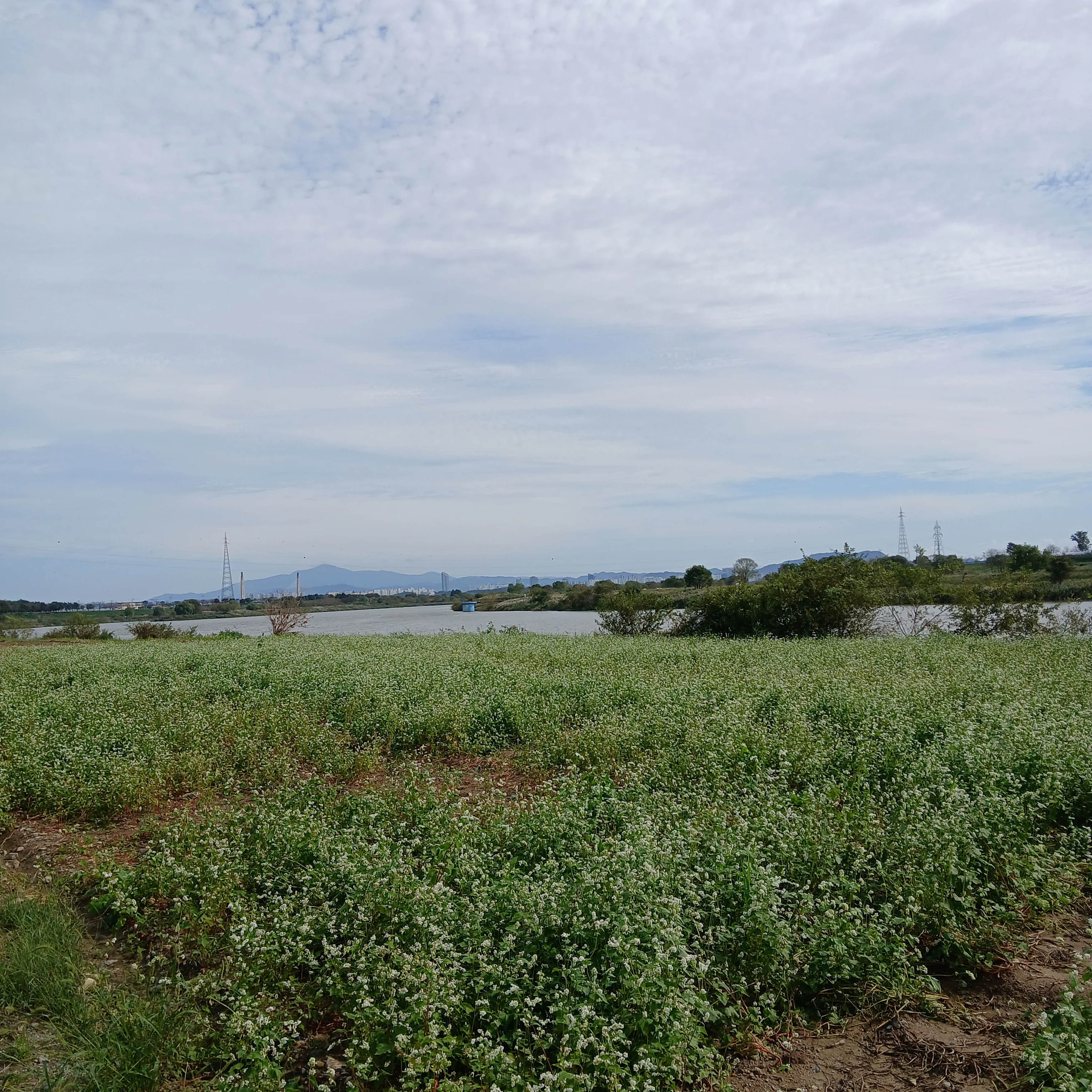 쿠킹덤 AU라긴보단 내 사심이죠