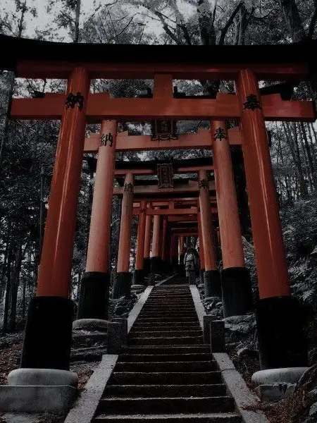 Pome_ranian의 せめよんの生贄