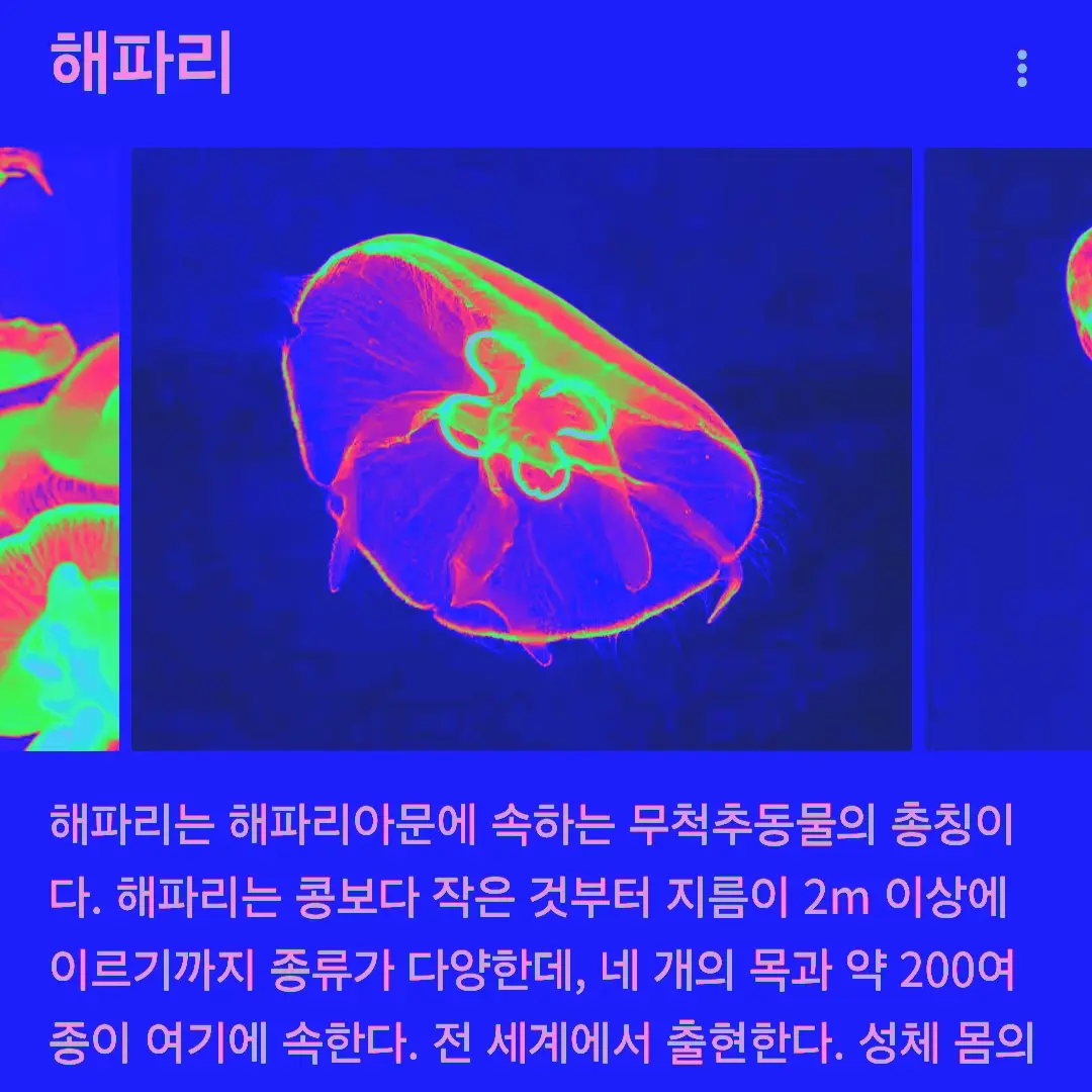 FoulJade1588의 해파리