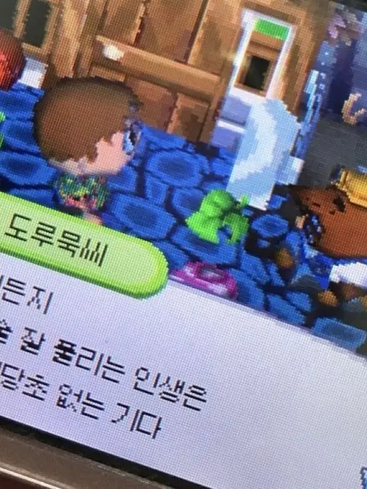 MaroonSheep5215의 후회는, 지금해도 늦었어.