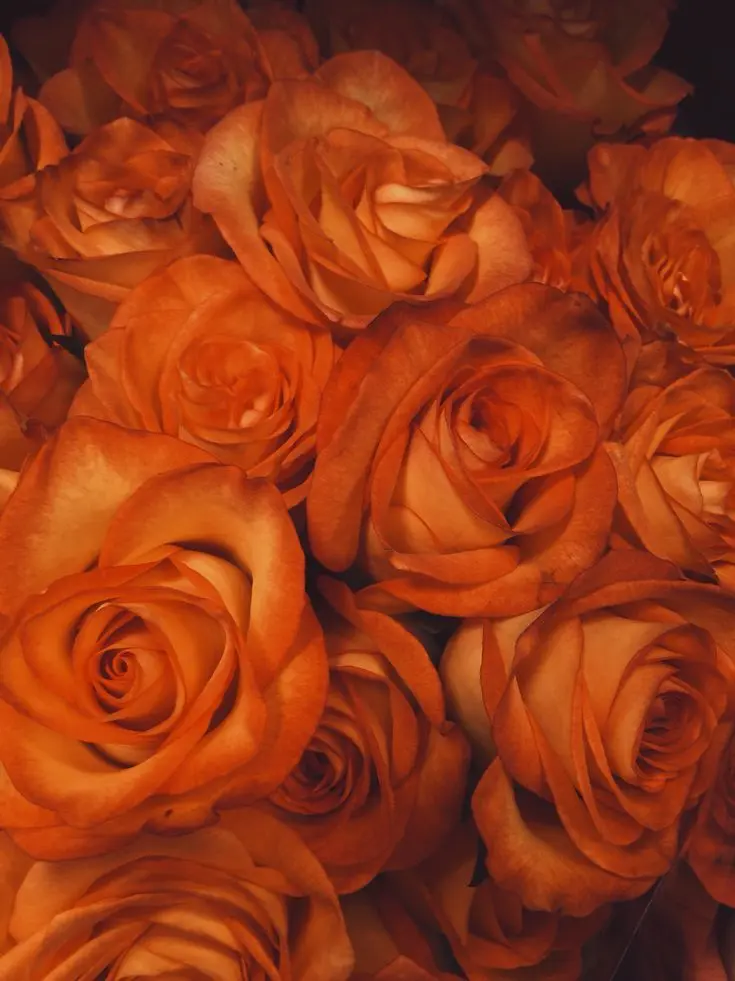 dpxnp의 바에서 만난 당신