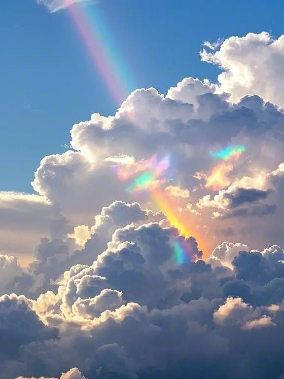 RapierTrail0995의 팀 나빠 중, 한 명과 동거해야한다.