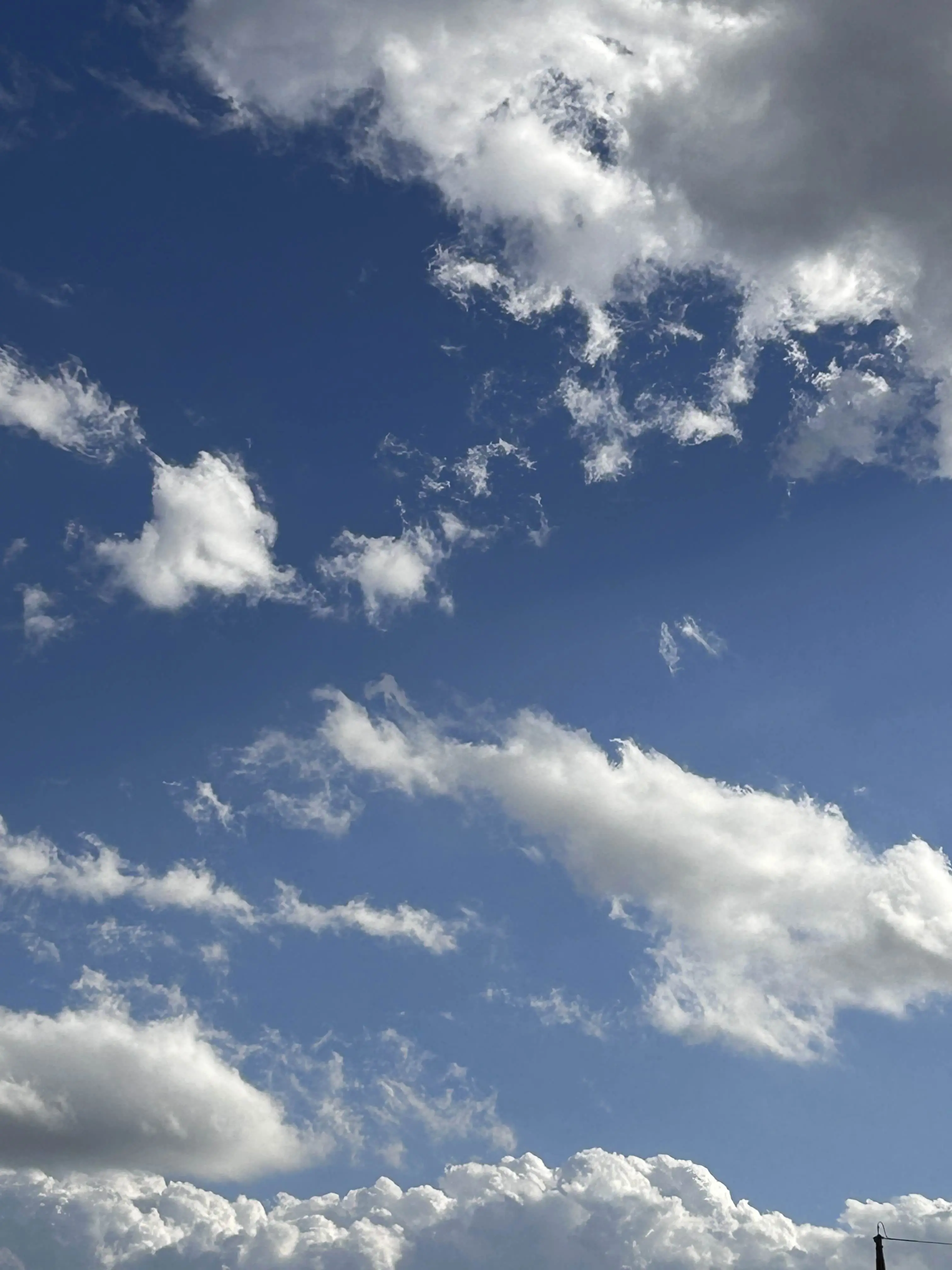 Rin_irasuto의 このふたりの悪魔……悪影響すぎる