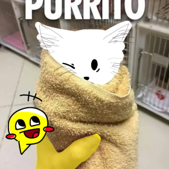 MatteRat1510의 拾われたユーザー