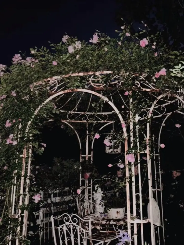 Mt_000의 それとも .