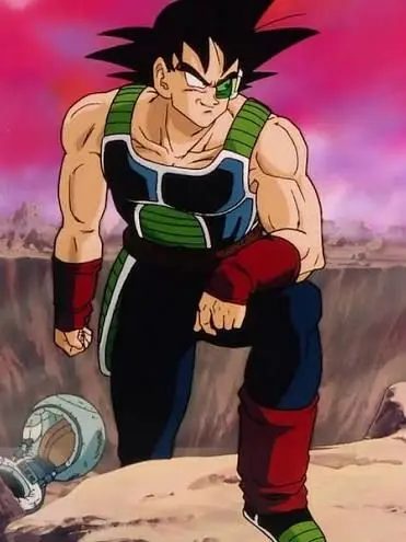 SnowyGesso5401의 Bardock's Resurrection