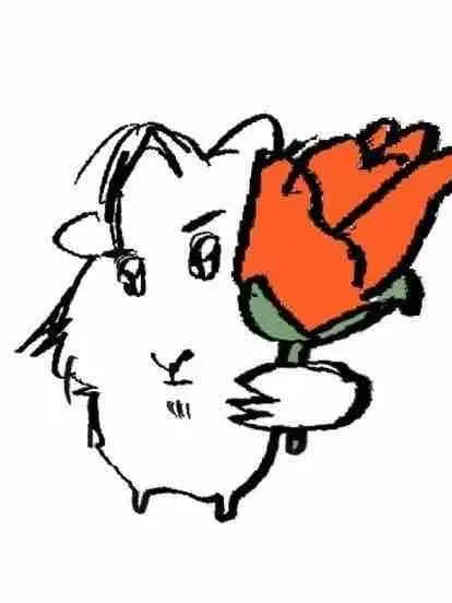 TimelySteam3855의 개 인 용 이 라 고 이 뭘 봐 요