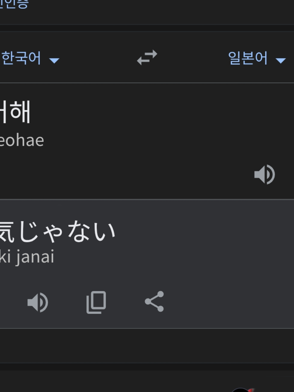 갠용 대표 이미지