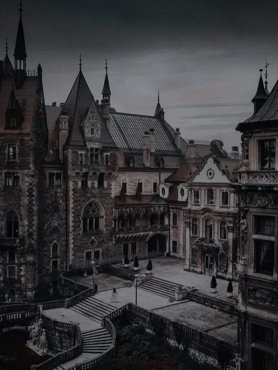 Twight_minx의 Supernatural school