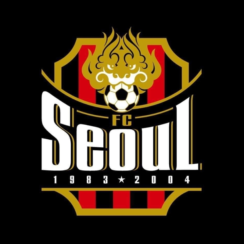 FC서울 대표 이미지