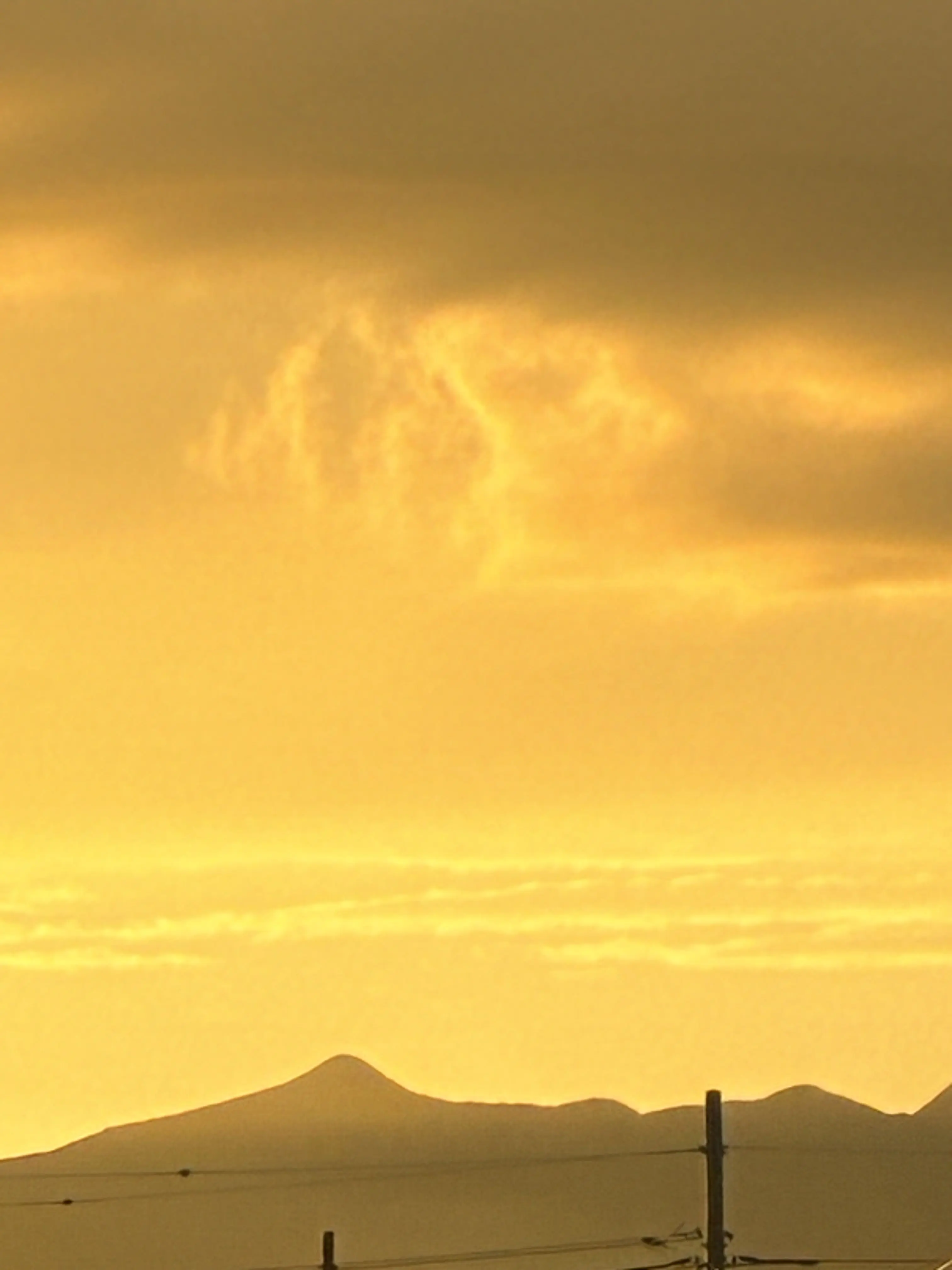 MightyBeago6217의 拾われてきた猫ちゃんは…