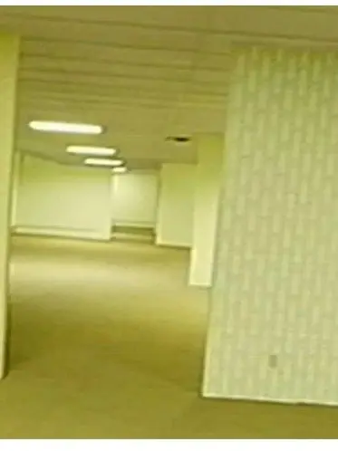 TriteYarn8062의 The Backrooms?