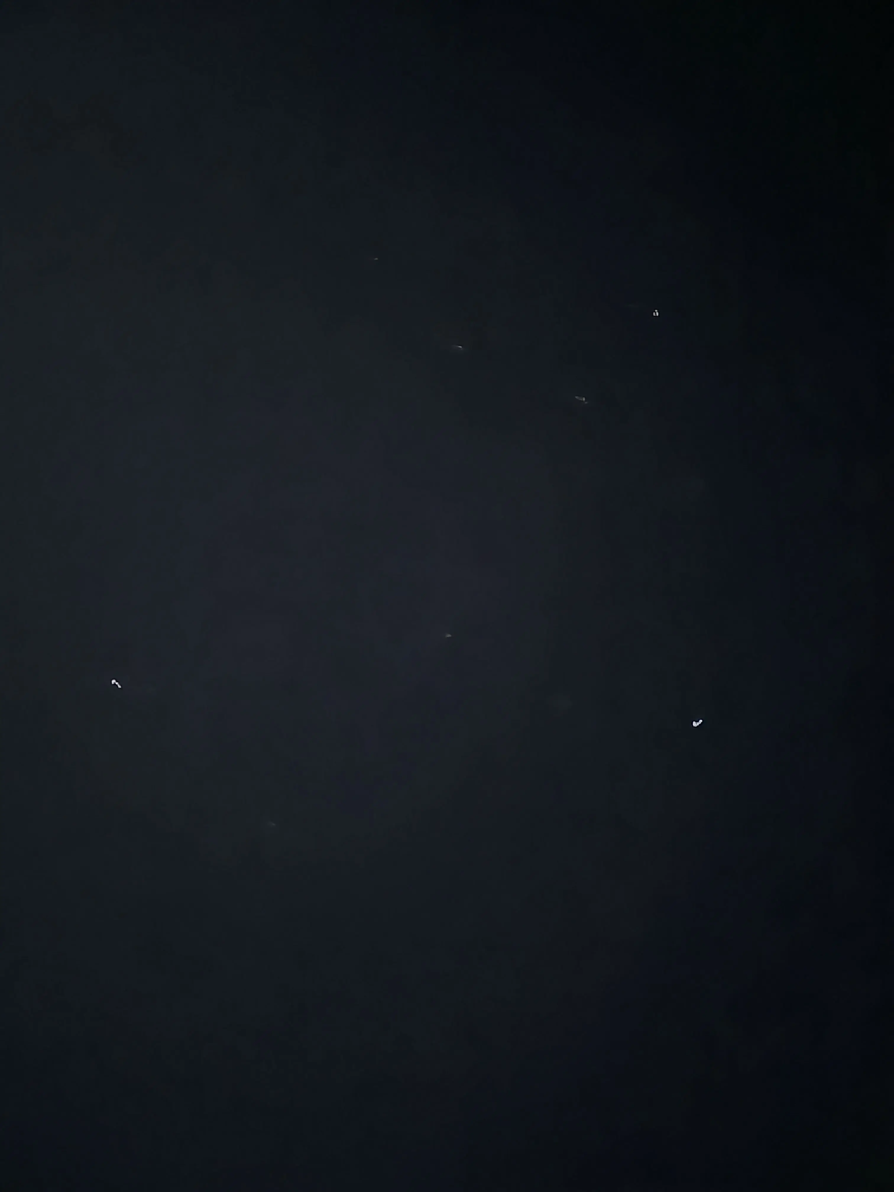 TimidBatik6038의 시끌벅적 수사반