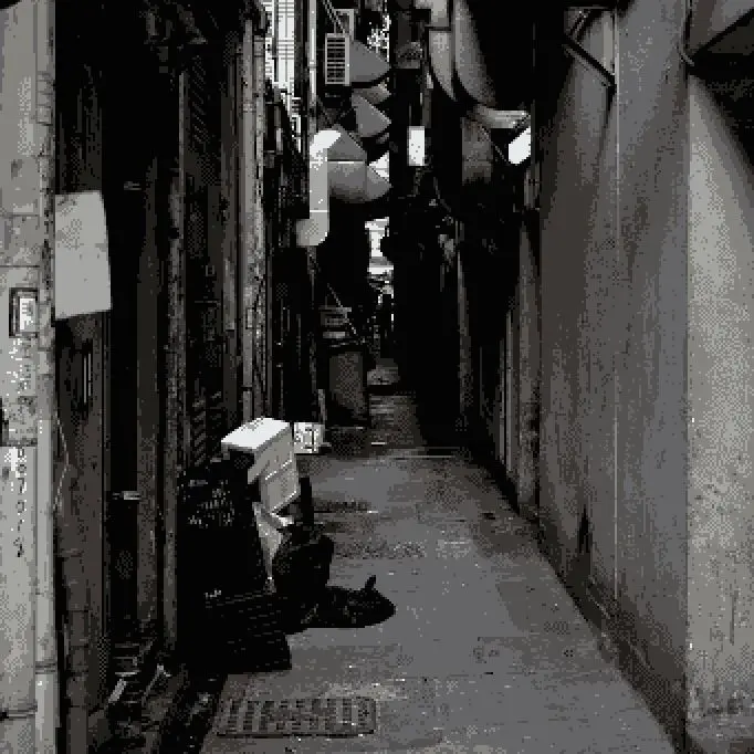 orbit1004의 백은찬