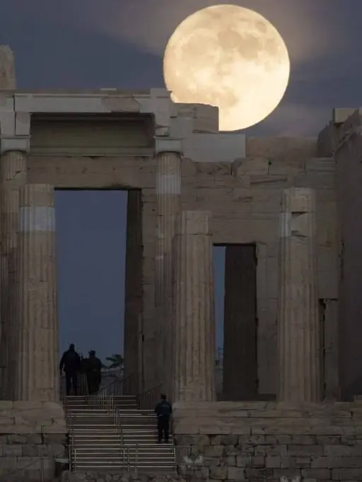 Best_salada의 뱀파이어