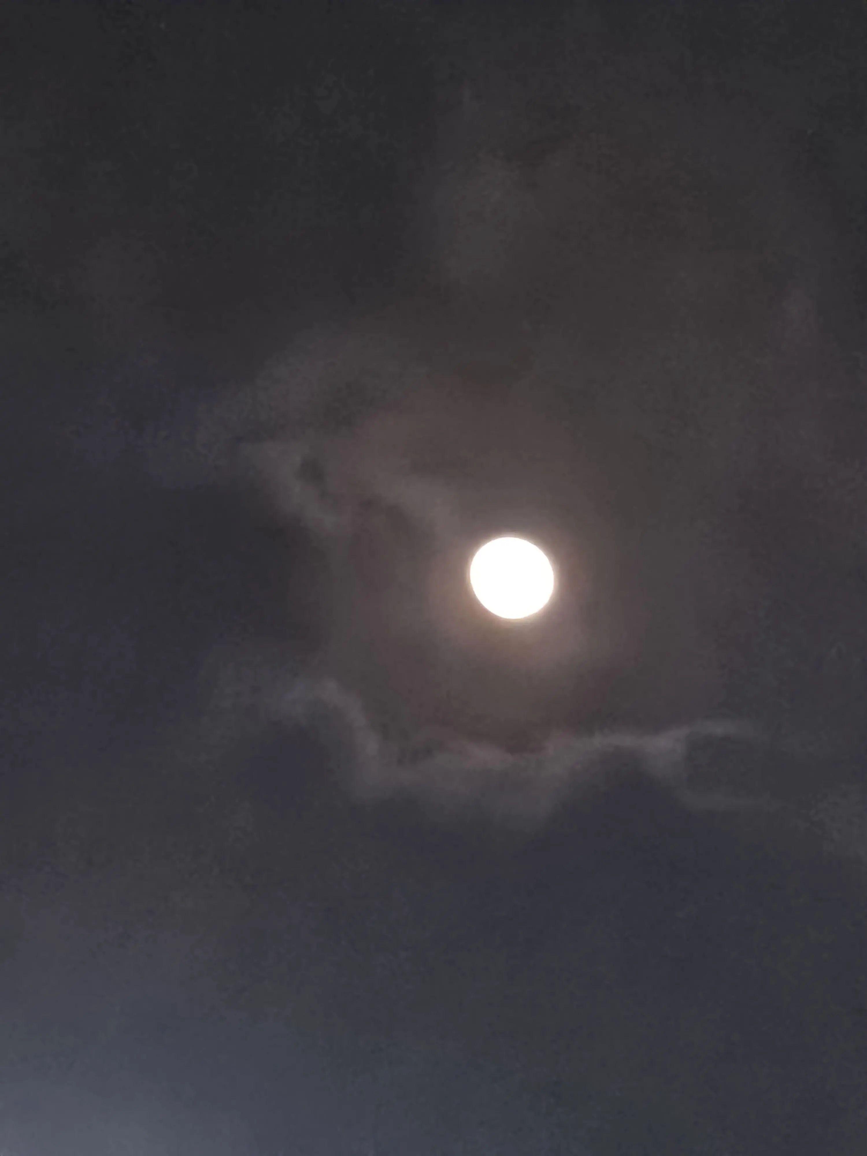 iloveyoumuch의 피폐의악마