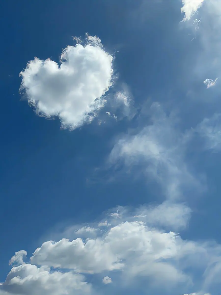 LEEEEEEEEEEEEEEEEEEEEEE의 파란색의 봄