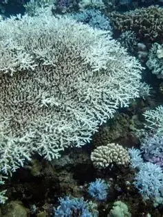 RaspyLand8725의 IST엔터테인먼트