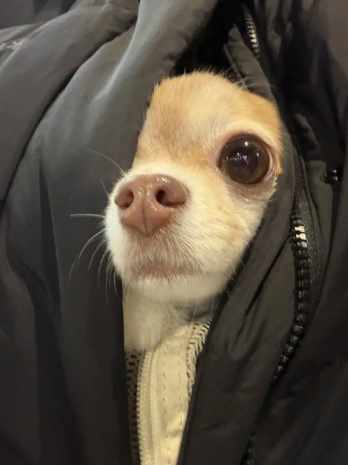 GiddyLynx3599의 맄우