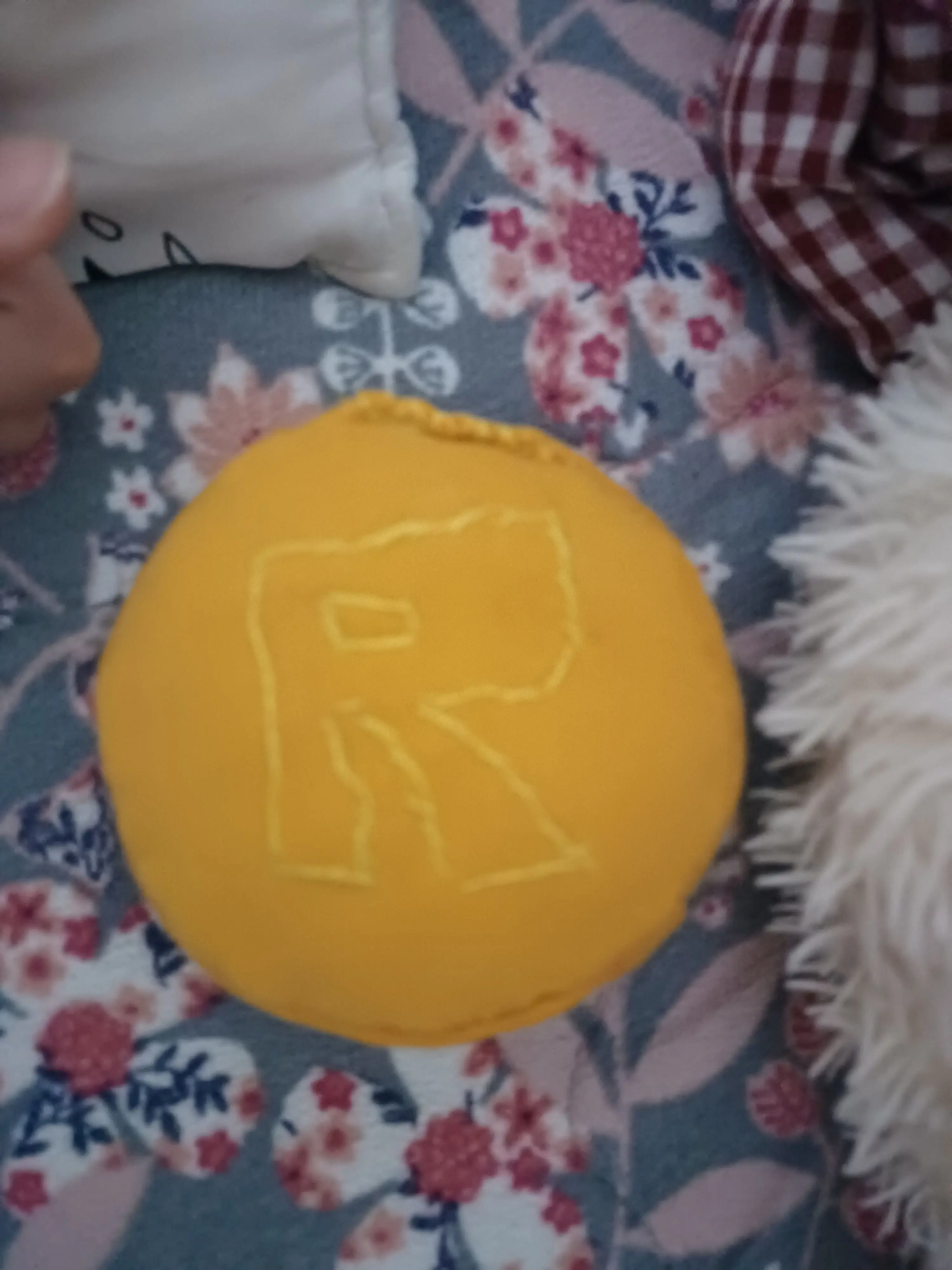 jangjangjang_Hyekyung의 포사켄.. (생존신고)