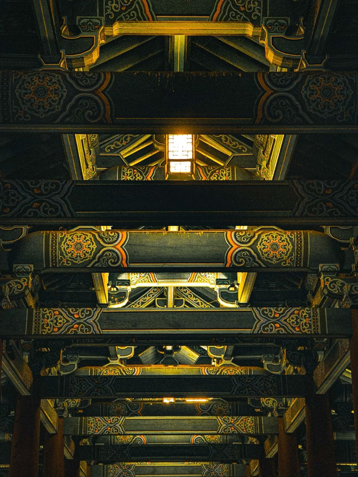 《분류불가》 대표 이미지
