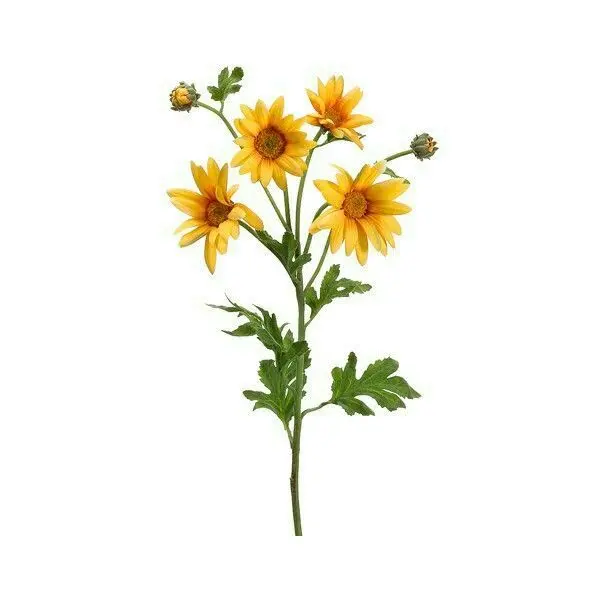 sukuna_Iove의 애송아, 이리와서 안기거라-