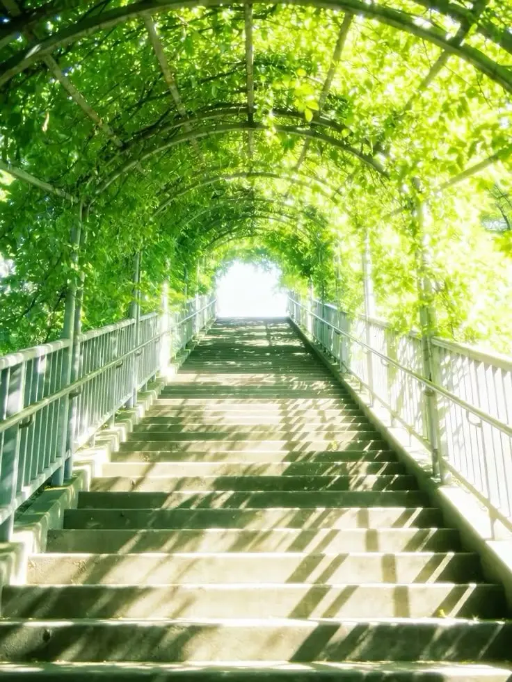 cuteintrovert의 Paradisus