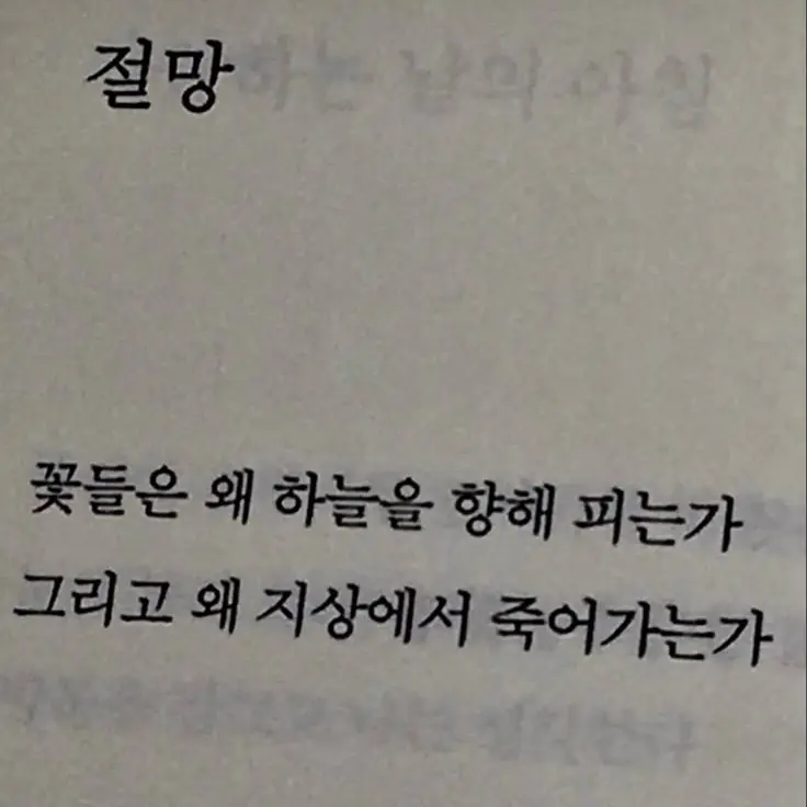 treason의 제국의 태양.