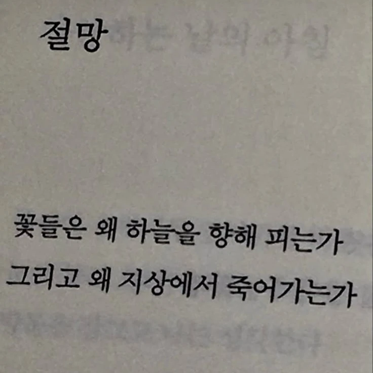 제국의 태양.