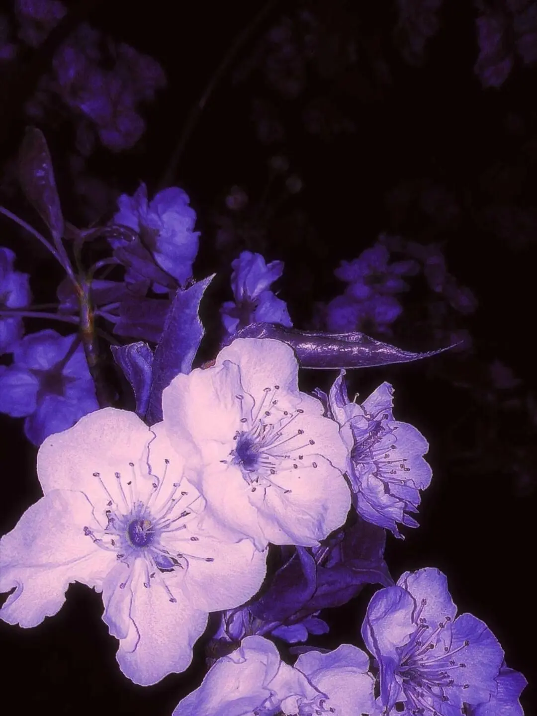 johan_luv1108의 妄想日記