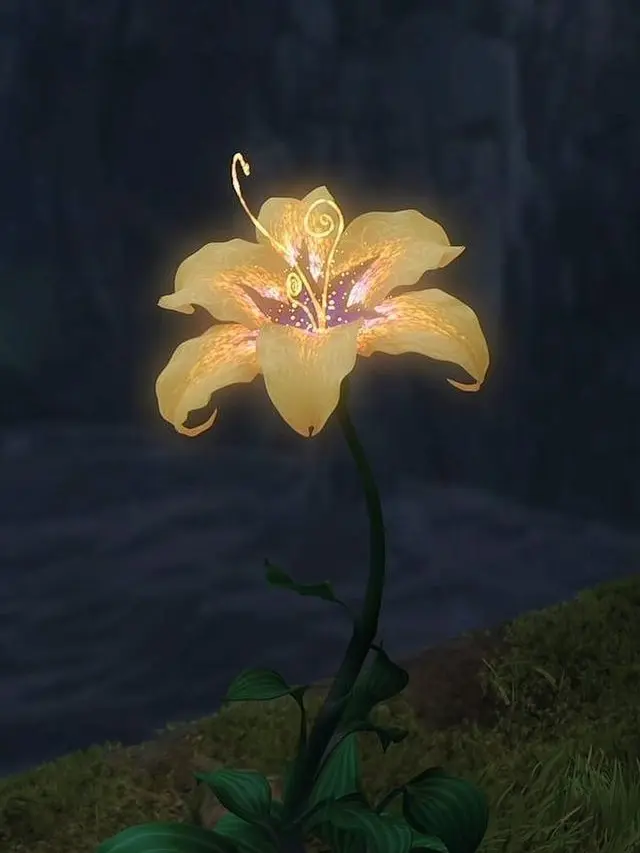 _snow의 패러다이스