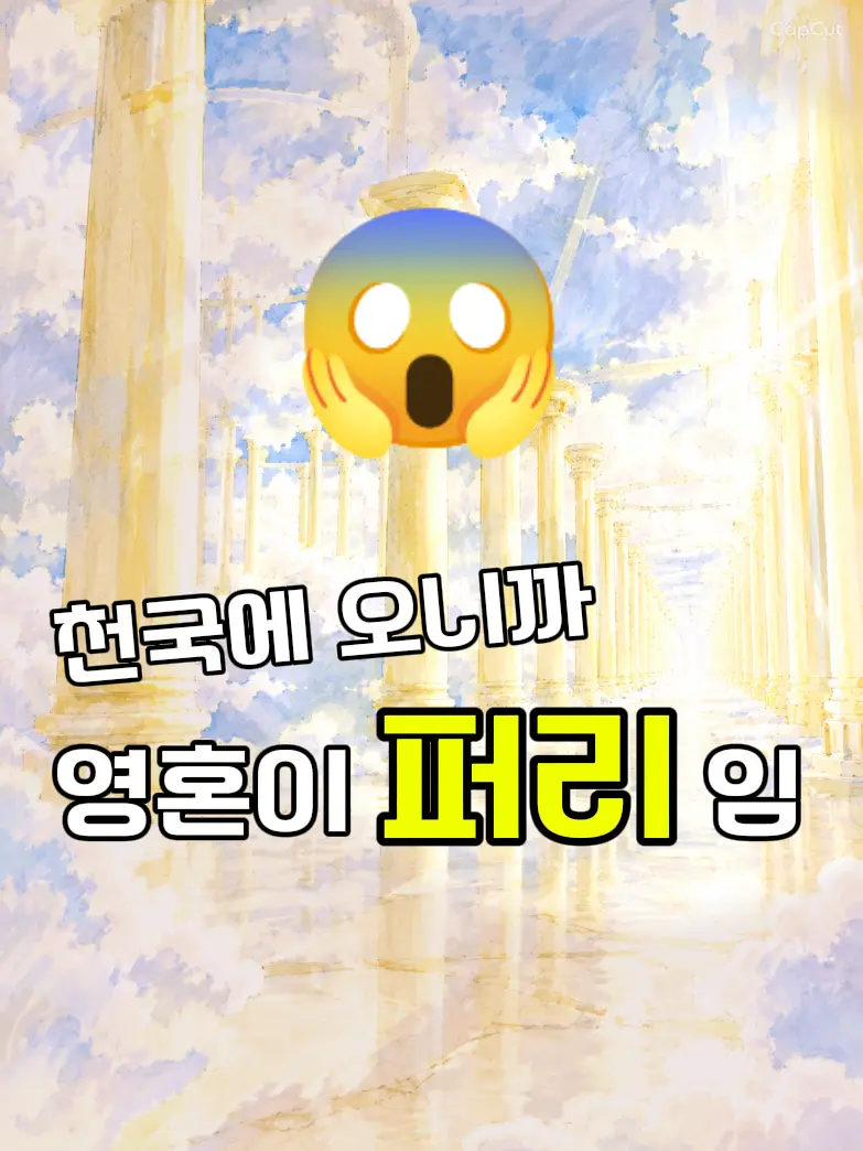 Just-A-User의 천국이긴 한데 퍼리 천국이기도 하고;