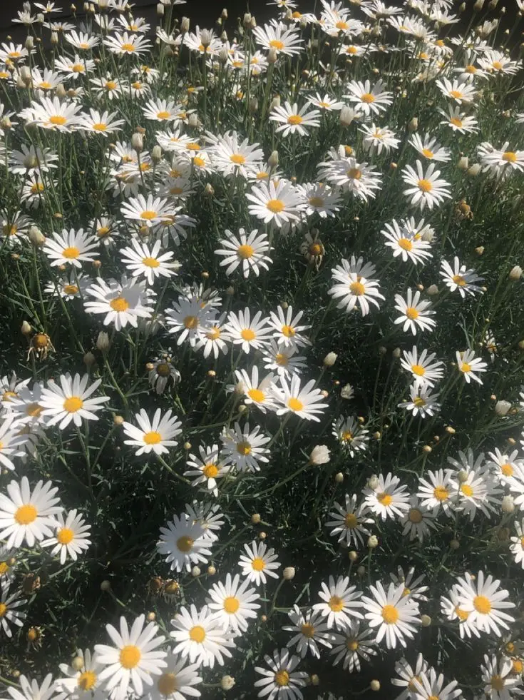 nnexox의 다시 생각해 보세요