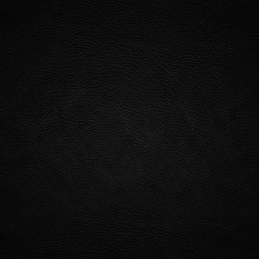 TenderMacaw2066의 백정준, 김대석, 강지호