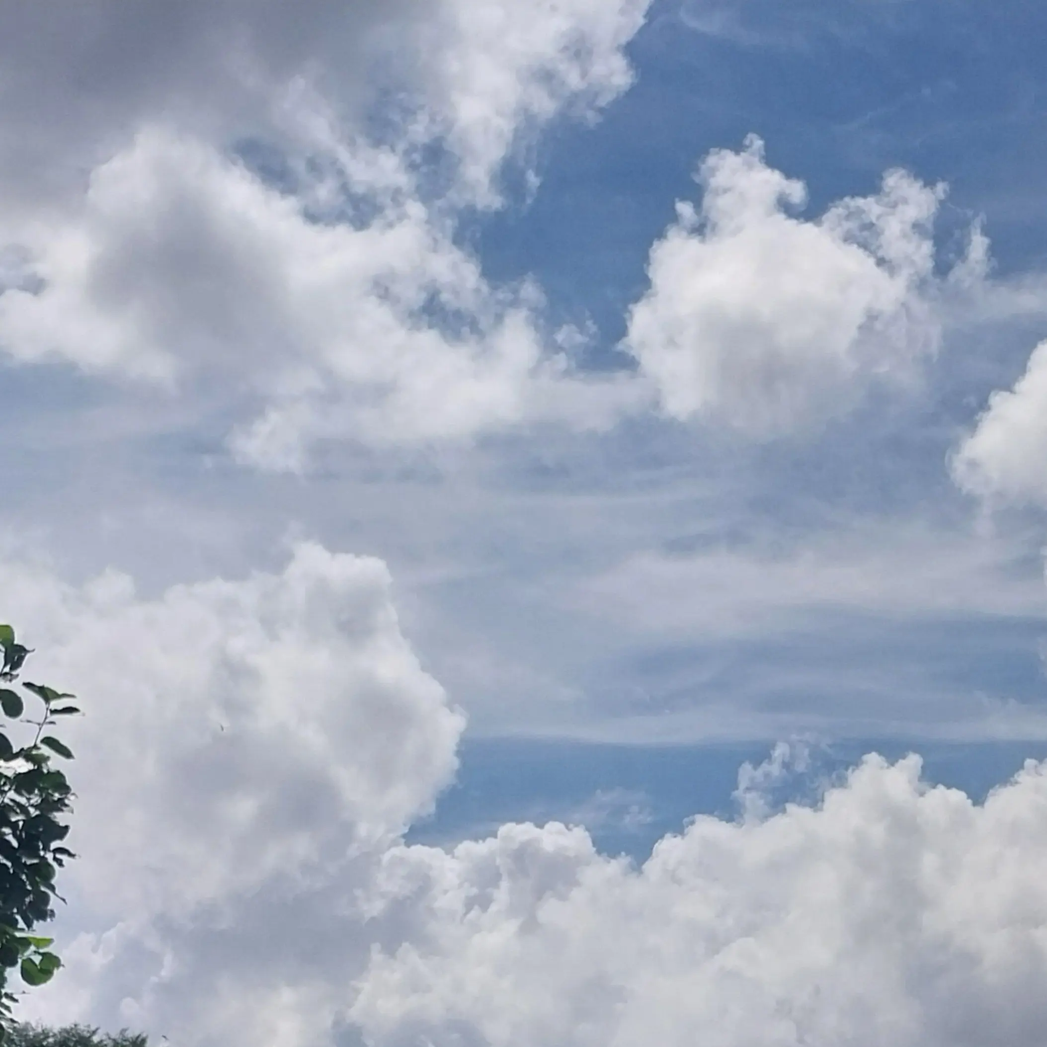 gge246810의 인권유린상자에 갇혔다.