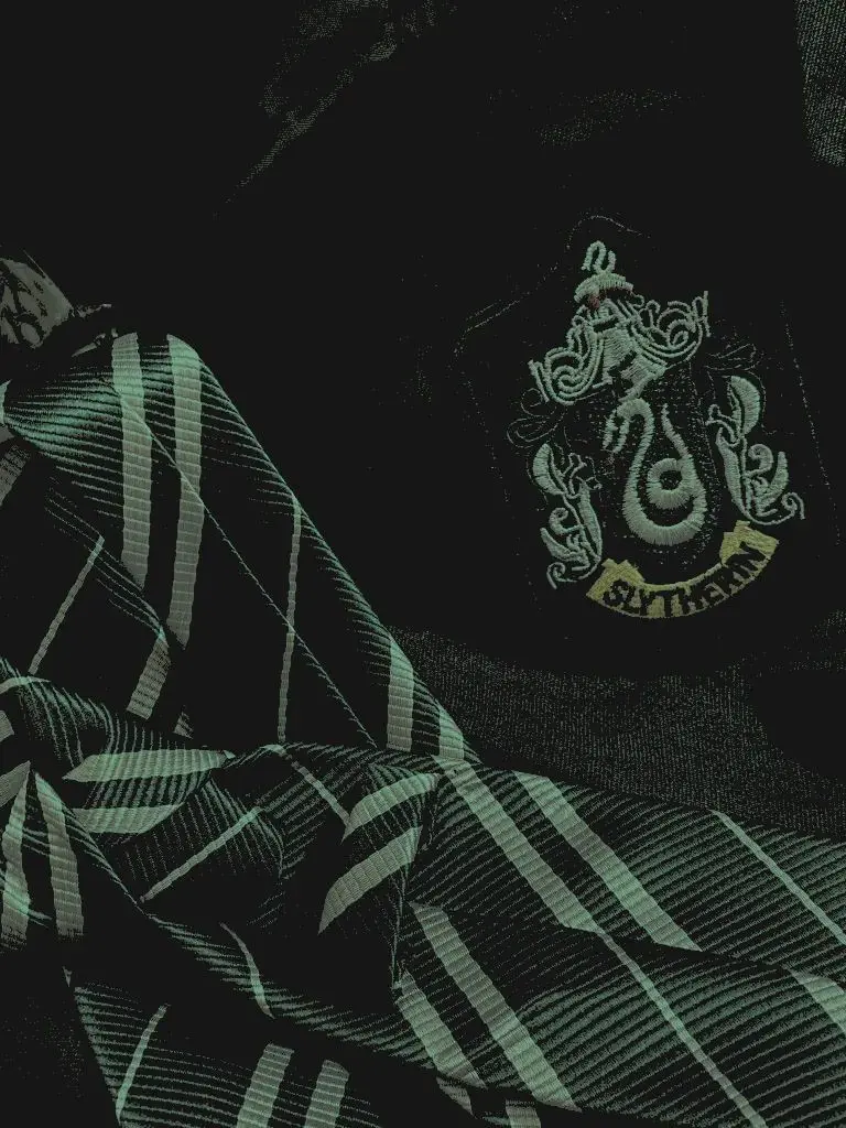 rosiee81의 slytherin