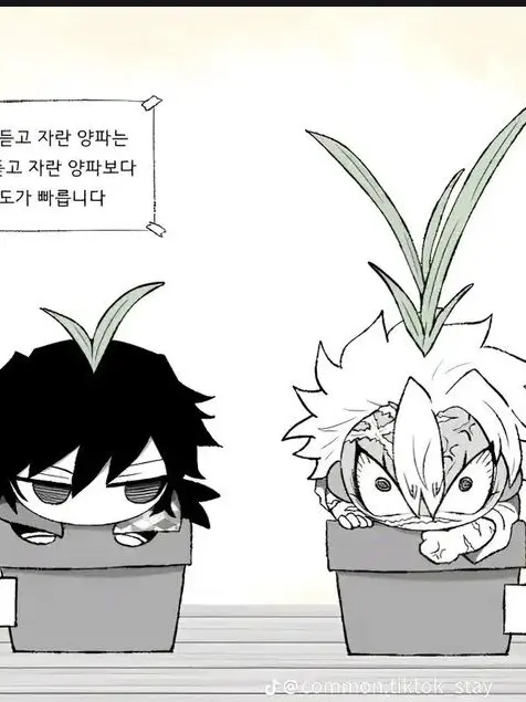 GentleMud7484의 사네기유