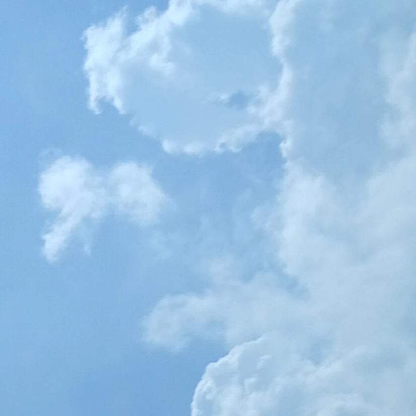최여우